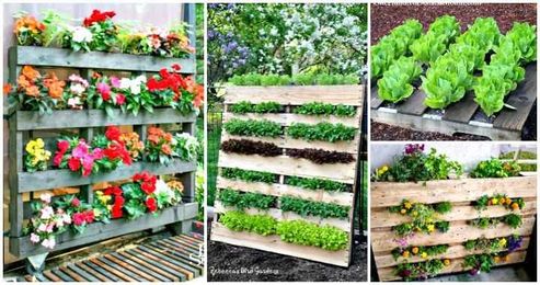 30 DIY Pallet Garden Projects to Update Your Gardens