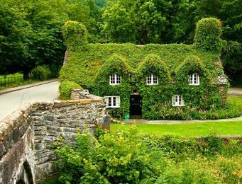 Top 10 Most Peaceful Cottages
