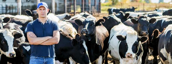 Dairy and Sustainability: 6 Things That May Surprise You 
