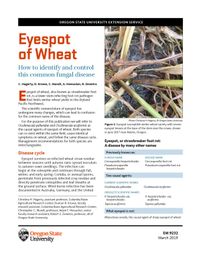 Eyespot of Wheat: How to identify and control this common fungal disease