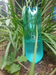 6 water-wise gardening tips