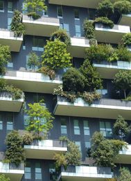 What is the Living Building Challenge and How Can STI Meet Your Project Needs?