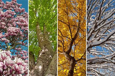 20 Things You Didnt Know About Seasons