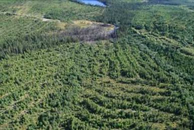 6 Reasons to be Proud of Canada’s Forest Products Industry