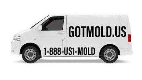Mold Testing & Removal , Water damage, Smoke damage