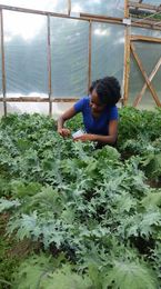 Biological Controls for Better Integrated Pest Management (IPM)