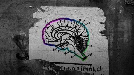 How our brains process praise and why it’s killing our potential