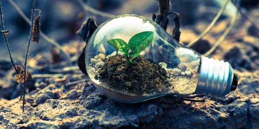 Regenerative agriculture isn’t technically sustainable.