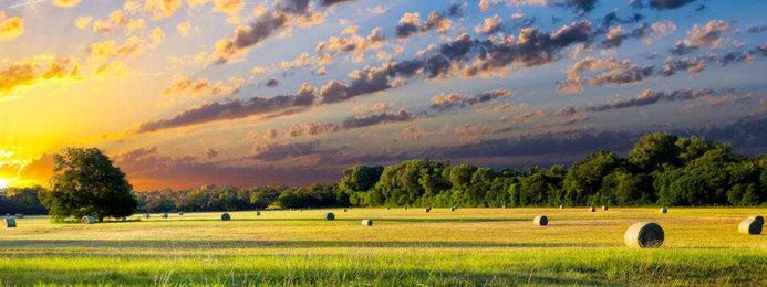 Is Your Farm or Ranch in Survival Mode?