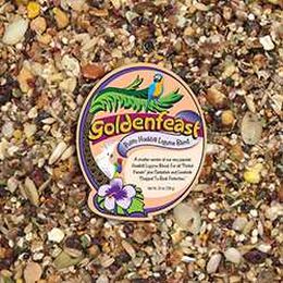 Five Ways to Best Support Your Bird