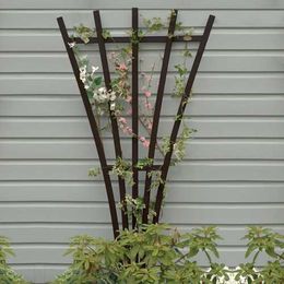 7 Trellis Ideas Every Green Thumb Should Consider for the Garden