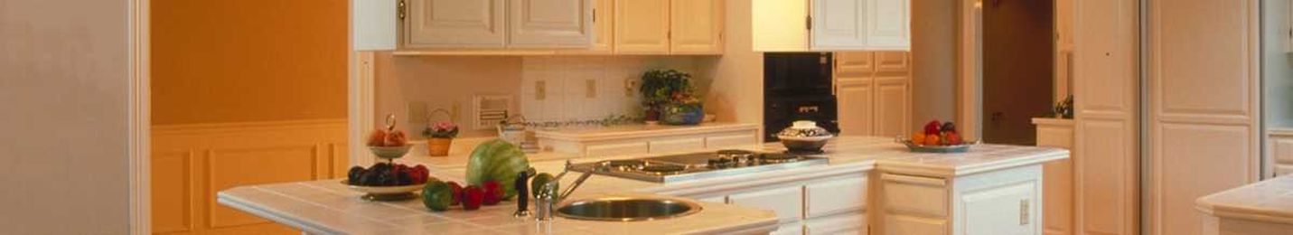 Get Rid of Kitchen Bugs: Ants, Beetles, Flies