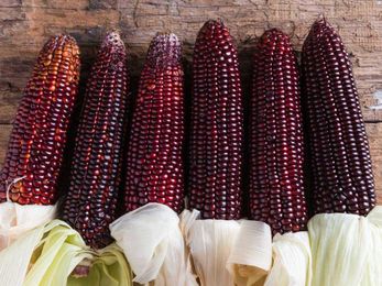 Can purple corn reduce inflammation, diabetes?