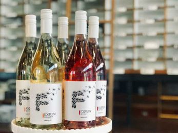 Sip and Ship Is The Name, Efficiency Is Our Game