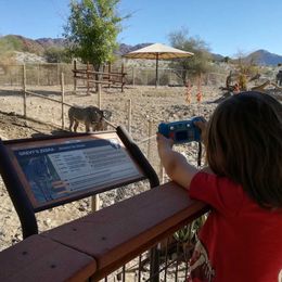 5 Family-Fun Zoos You Need To Visit 
