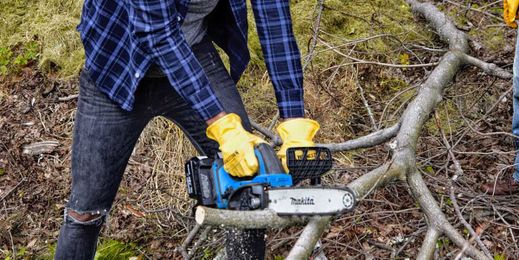 Brush Pile Master: The Tips and Gear You Need to Clean Up Your Yard