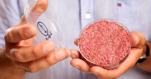Agriculture 2.0: Is lab-grown meat real life or is it just delicious fantasy?