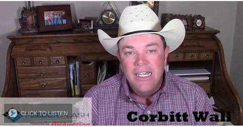 Fake Meat Take It Seriously 