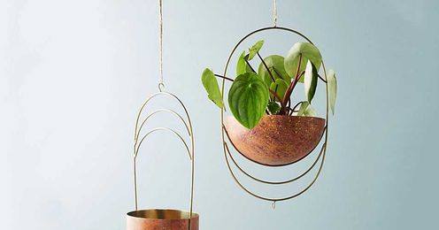 What Are the Best Ways to Hang Plants (and What Plants Should You Hang)?
