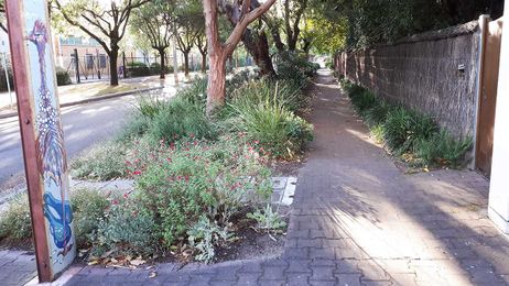 How to Create a Sensory Garden for your Dog