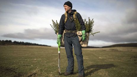 What you need to know about Arbor Day