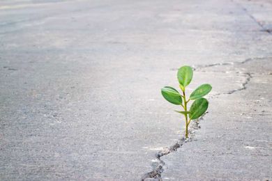 Discover How the Changing Seasons Can Affect Asphalt