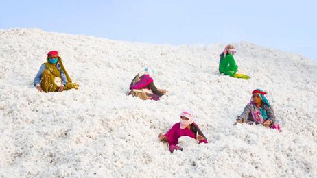 do you know where your cotton comes from?