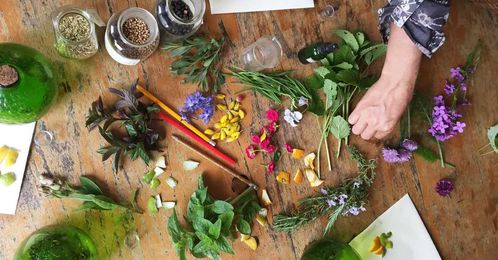 Understanding All the Flavors and Aromas in Gin (Flavor Wheel)