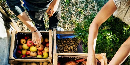 What You Need To Know About Food Deserts