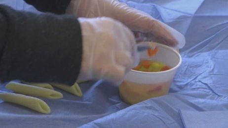 Hands-On Health: Elementary Students Perform Surgery