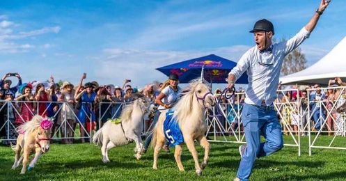 Where To Celebrate Derby Day in Denver