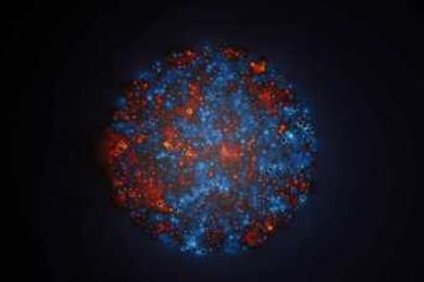 Army research may be used to treat cancer, heal combat wounds