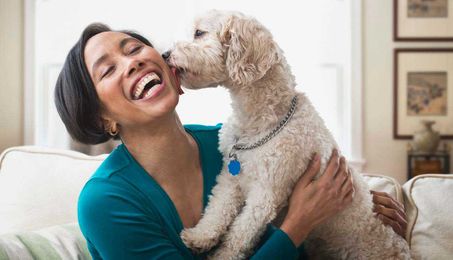 Having a Pet Can Benefit Health, Improve Social Life
