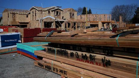 Study: Wisconsin sees growth in forestry industry