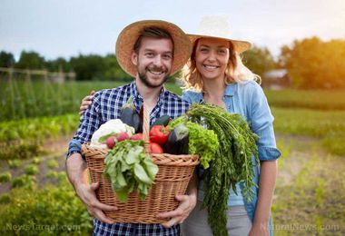 Survival gardens CAN also be profitable