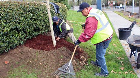 4 common myths about day laborers