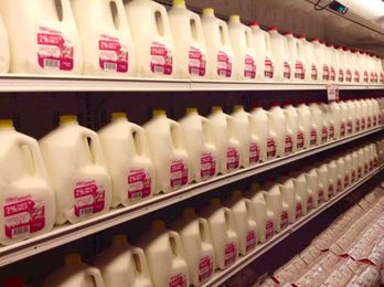 Could Giving Milk a Longer Shelf Life Reduce Food Waste?