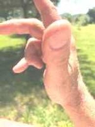 How Is My Hand Like the Buddha's Hand?