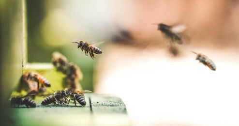 Human-Centered Design Is Broken. Here’s a Better Alternative.