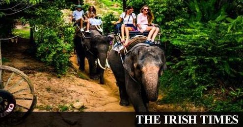 Subscriber Only: Using a travel agent: Peace of mind or needless expense?