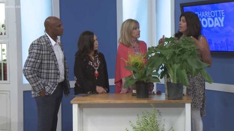 The plants you should grow for a thriving garden