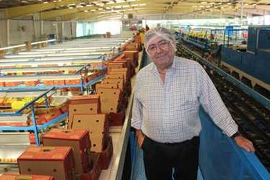 Mexican tomato interests move to stop DOC ruling