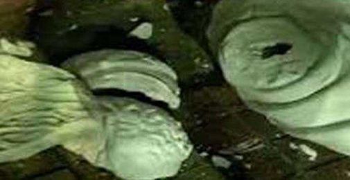 Vidyasagar's Statue Vandalised: But do people really care about statues?