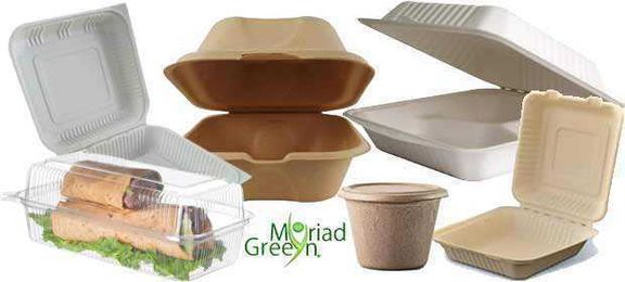 Picking the Right To Go Container