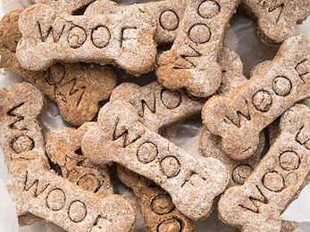 Tips for Homemade Dog Treats