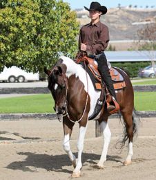 Horseback Riding Can Help Youngsters Become Good Drivers