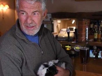 There Is a Guinea Pig Bar and I Want to Go