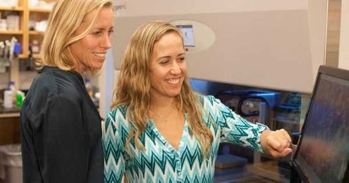 What Is Multi-Scale Modeling? How Can It Help Your Health?