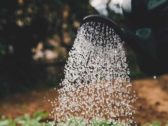 How to Grow Your Yammer User Base