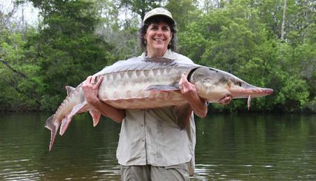 Why boaters are being warned about these fish